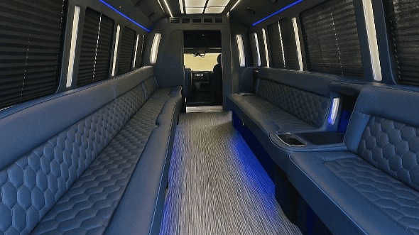 elgin 50 passenger party bus rental